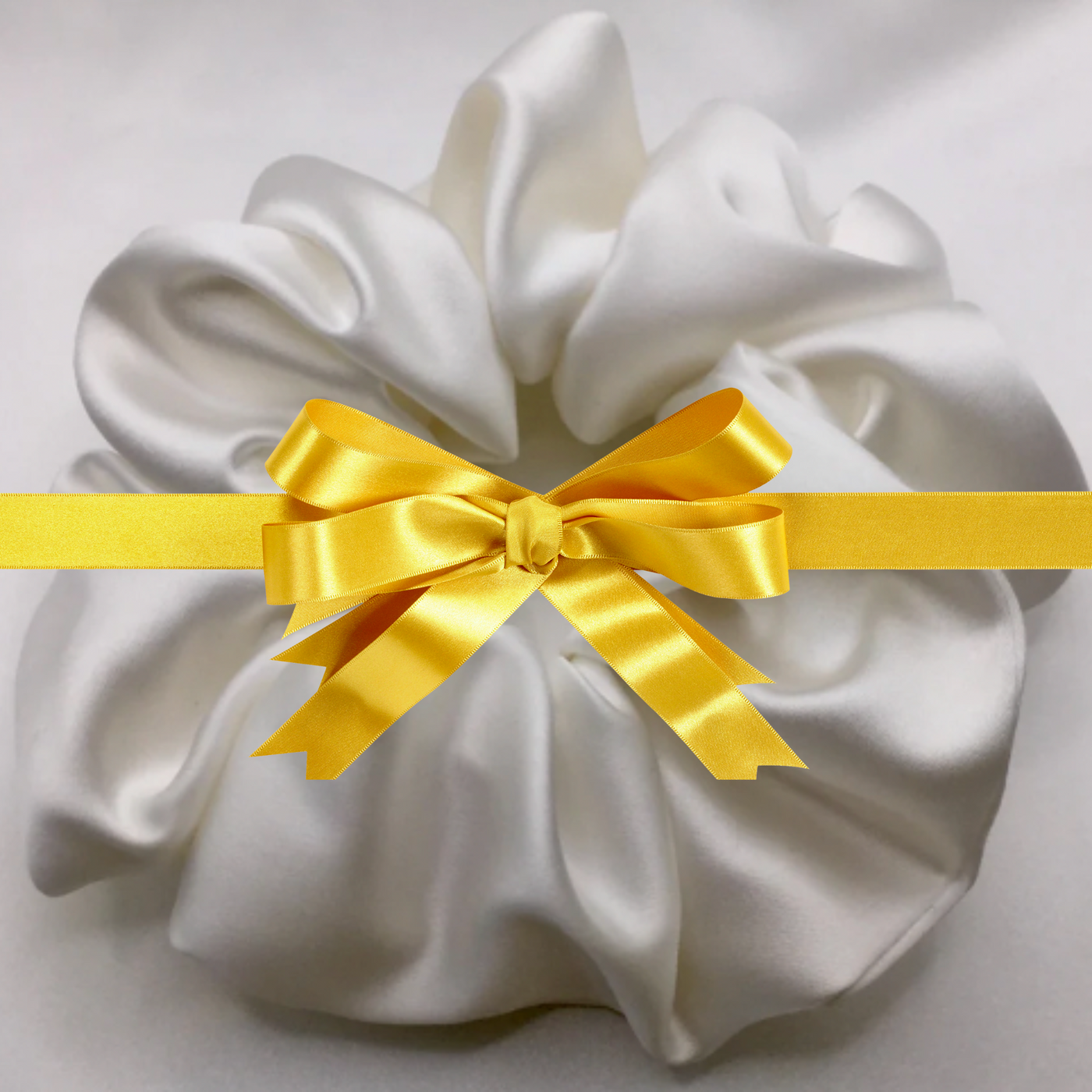 Subscription Gift Offer: 6 Velvet XL Scrunchies